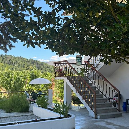 Вілла Casa Vicente Ламегу Екстер'єр фото
